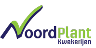 Noordplant